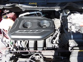 2019 Ford Ecosport Burgundy 2.0L AT 4WD #F24707